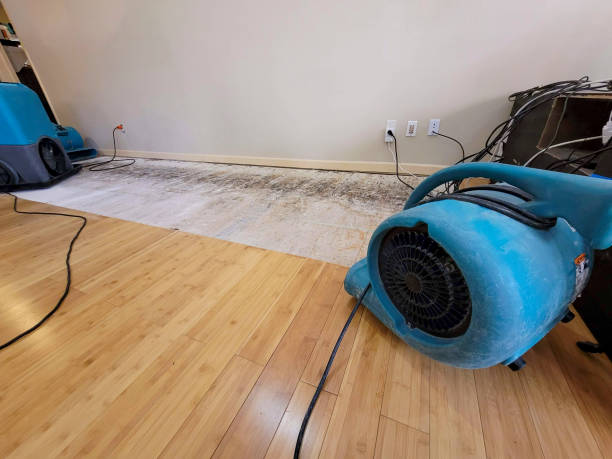 Professional Water Damage Repair technician working in Valley City, OH